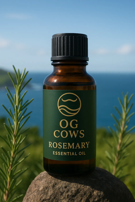 Rosemary ~ The Flame of Memory  100 % Azorean Essential Oil