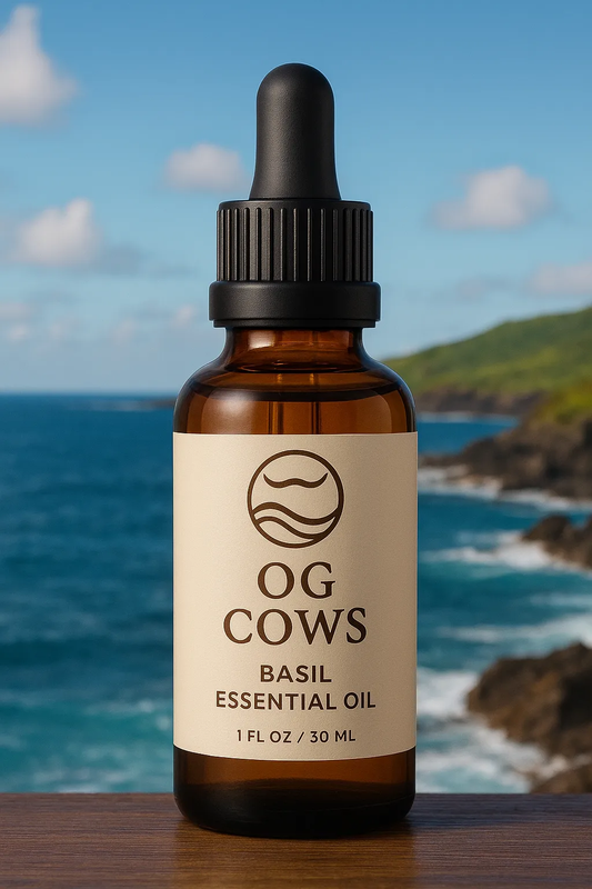 Basil ~ The Spirit of Clarity  100 % Azorean Essential Oil