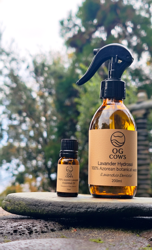 Lavender ~ The Calm of the Island 100 % Azorean Essential Oil