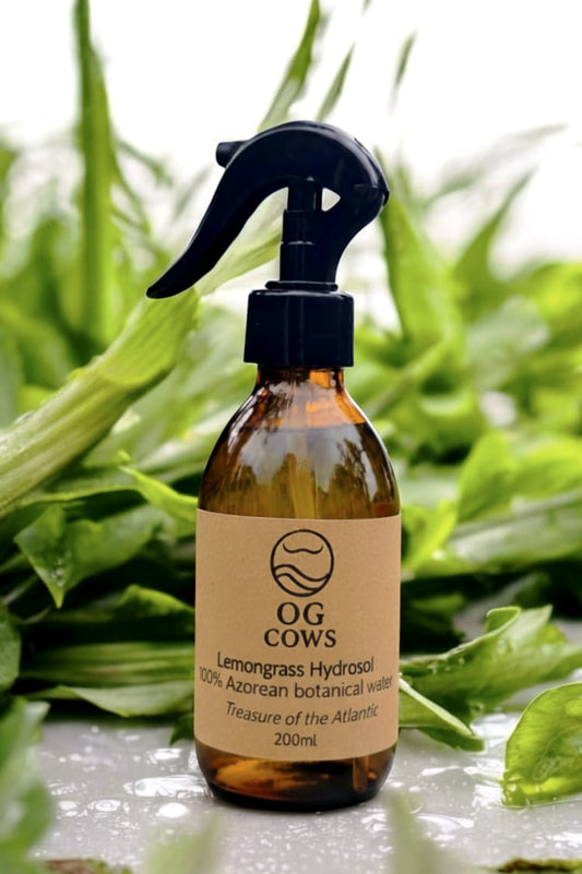 Lemongrass Hydrosol ~ Awakening Island Mist 100% Azorean Botanical Water