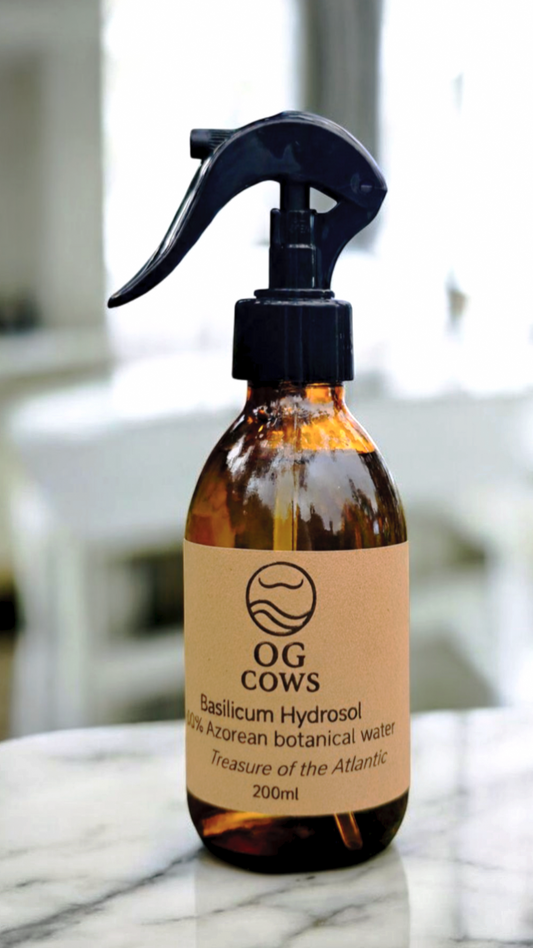 Basil Hydrosol ~ Clarity Tonic Mist 100% Azorean Botanical Water