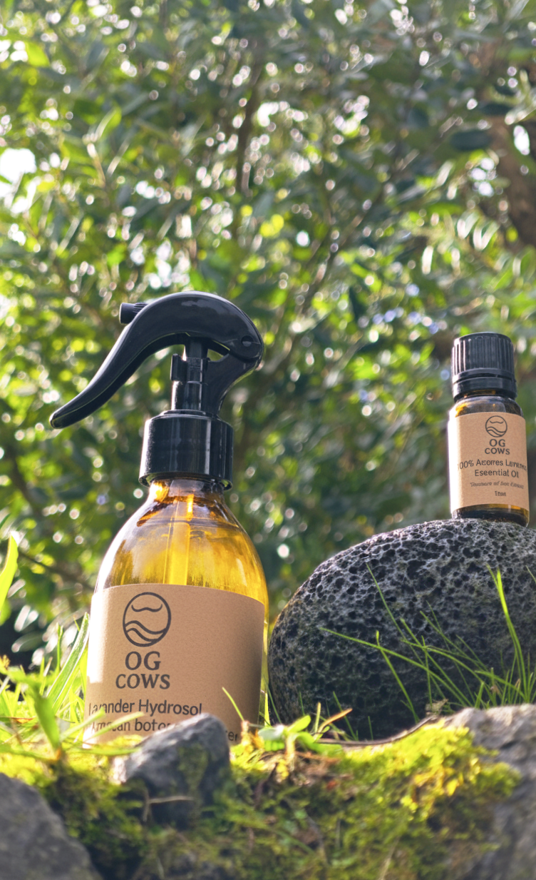 Lavender Hydrosol ~ Island Calm Mist  100% Azorean Botanical Water