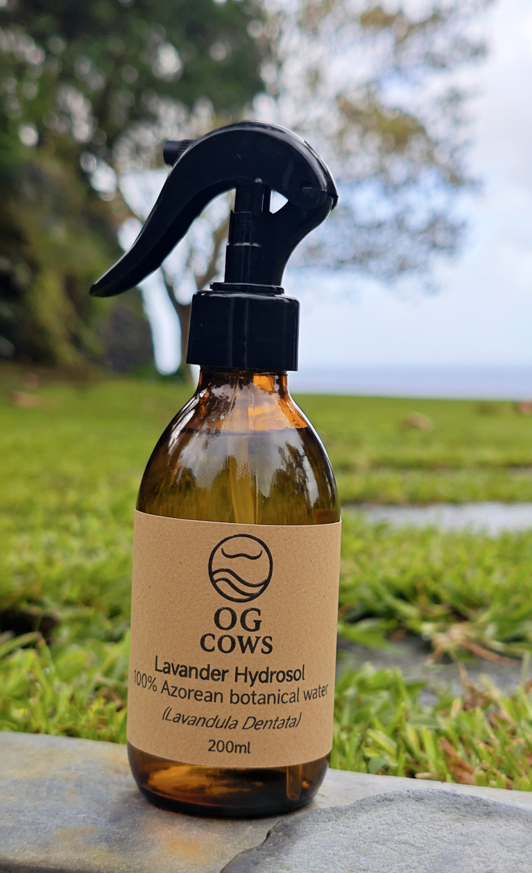 Lavender Hydrosol ~ Island Calm Mist  100% Azorean Botanical Water