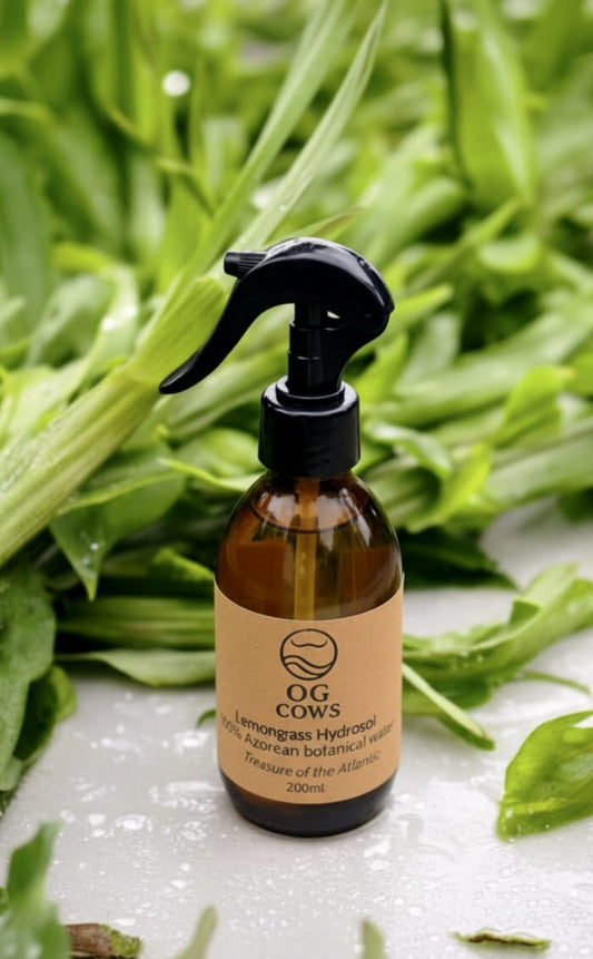 Lemongrass Hydrosol ~ Awakening Island Mist  100% Azorean Botanical Water