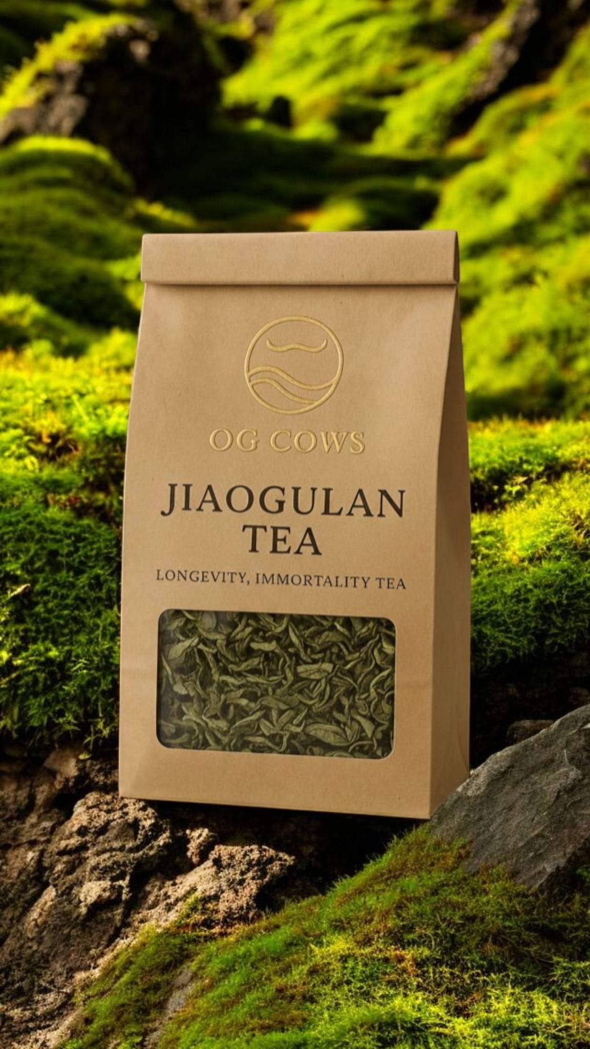 Jiaogulan Tea ~ The ImmortaliTea  100% Azorean-grown adaptogenic herb of vitality and balance.