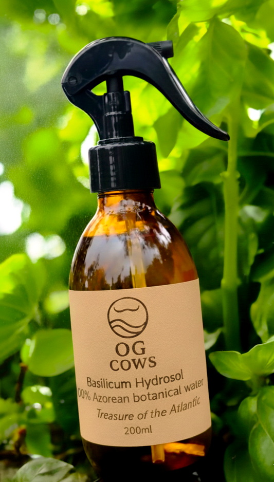 Basil Hydrosol ~ Clarity Tonic Mist  100% Azorean Botanical Water