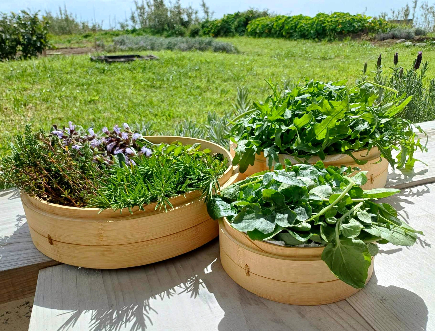 OG Cows ~ Azorean Dry Herbs Collection (20g)